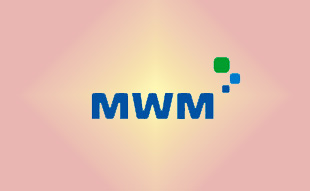 ✓ MWM 4226392 Электромагнитный клапан 